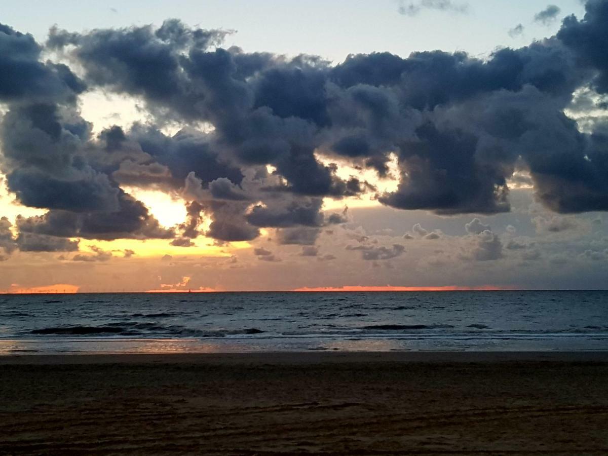 Excellent Beach Apartments Zandvoort Dış mekan fotoğraf